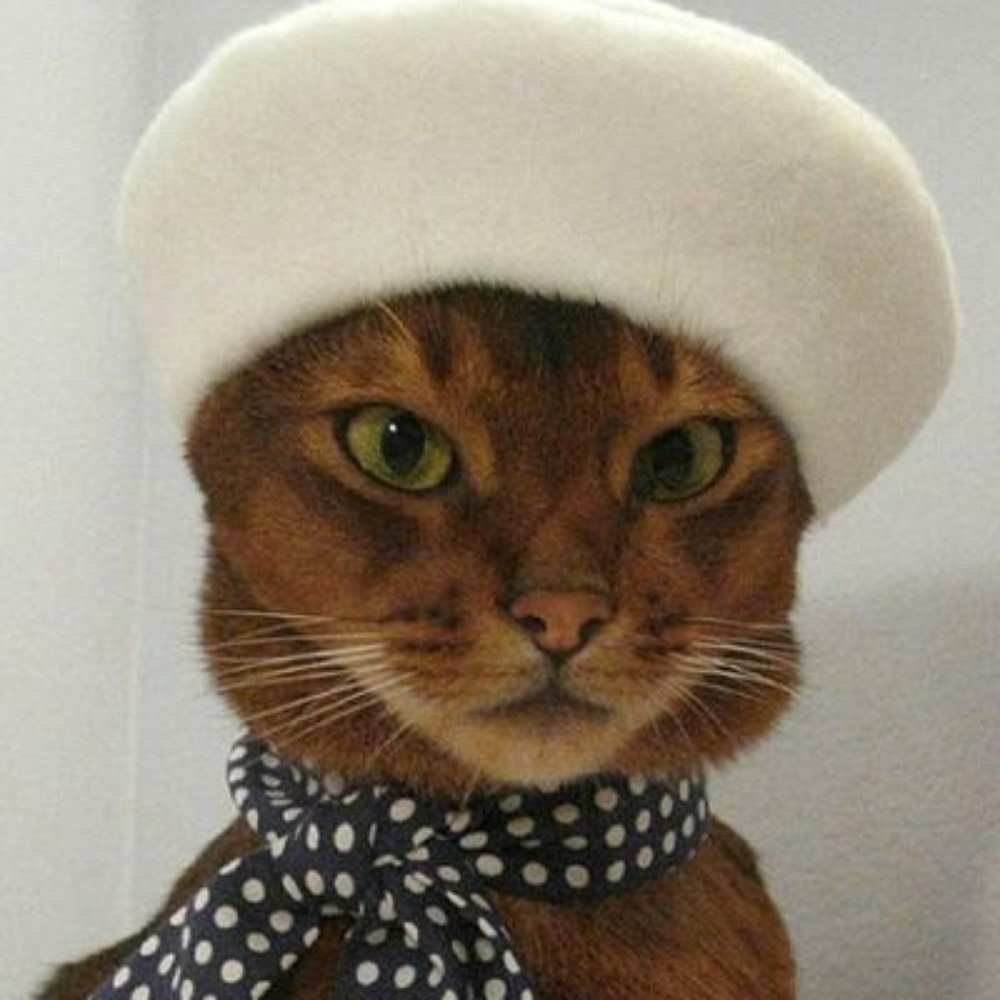 Meet your Posher, Ashley